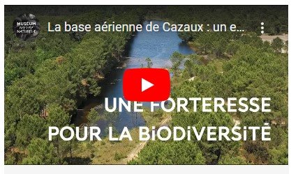 Découvrez les avantages de Cazeus Casino en ligne pour les joueurs français